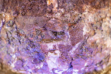 Texture of rusty metal backlit by purple light
