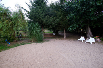 beach, sand, trees and shrubs