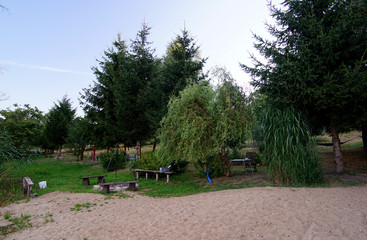 beach, sand, trees and shrubs