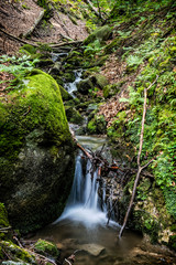 Water stream, Snake valley, Kremnica hills, Slovakia