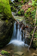 Water stream, Snake valley, Kremnica hills, Slovakia