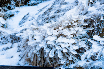 Frozen ice waterfall of blue icicles on the rock in Hehuan Mountain, Taiwan, Asia.