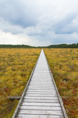 Nature trail on a wooden footbridge across a moor