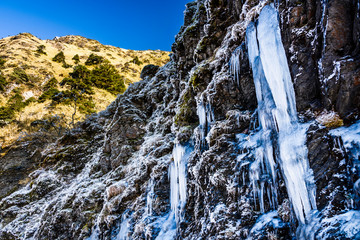 Obraz na płótnie Canvas Frozen ice waterfall of blue icicles on the rock in Hehuan Mountain, Taiwan, Asia.