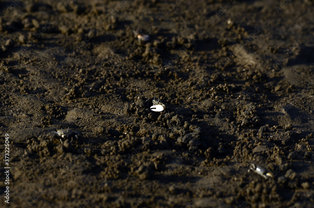 Sticker closeup shot of ground mud texture