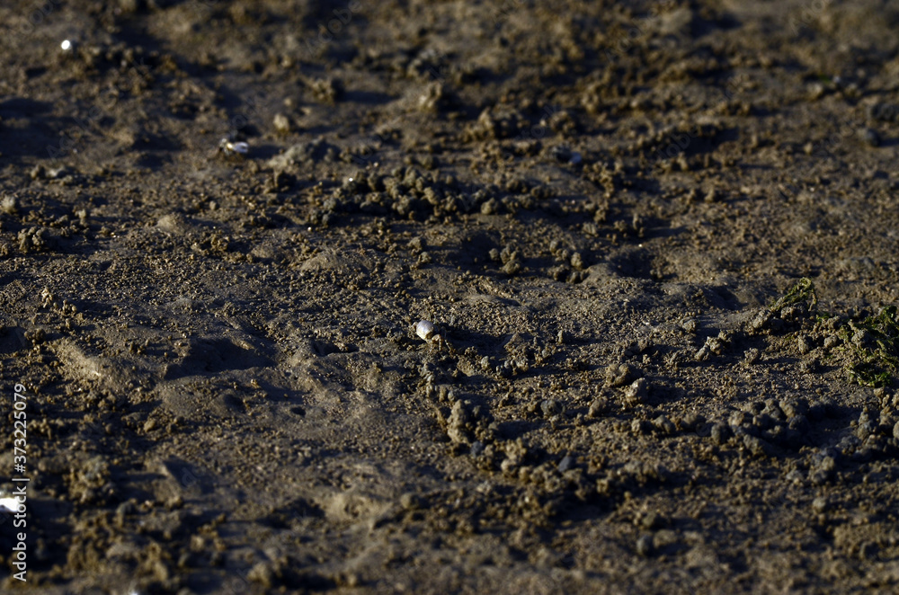 Sticker closeup shot of ground mud texture