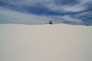 Fototapeta na wymiar Veduta delle dune e della spiaggia di Arenas Biancas