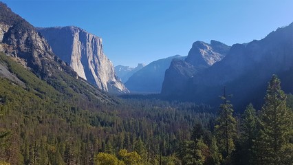 Fototapeta premium Yosemite Valley