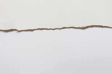 pieces of torn paper texture background and have copy space for design in your work.