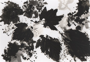 Photogram, an experimental piece of art where an image is made by painting with chemicals on...