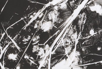 Photogram, an experimental piece of art where an image is made by painting with chemicals on...
