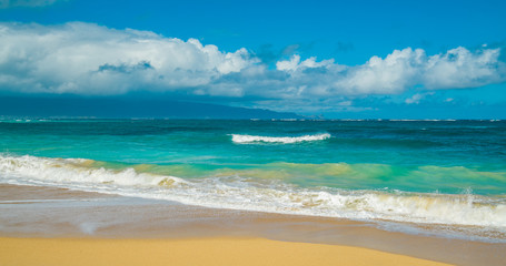 Fototapeta na wymiar A huge sandy beach. Hawaii