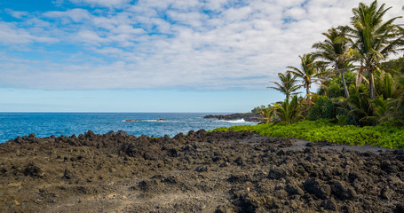 Marvelous shore. Large boulder among the waves in the sea. Hawaii 