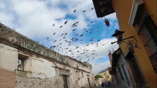 PALOMAS VOLANDO SOBRE UNA CIUDAD ANTIGUA EN GUATEMALA, ARCO DE SANTA CATARINA 