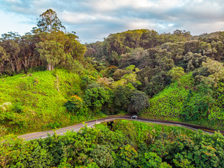 Green hills. Tropical forest. Hawaii