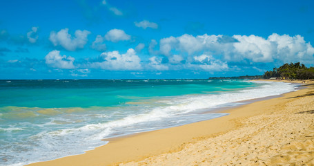 Fototapeta na wymiar A huge sandy beach. Hawaii
