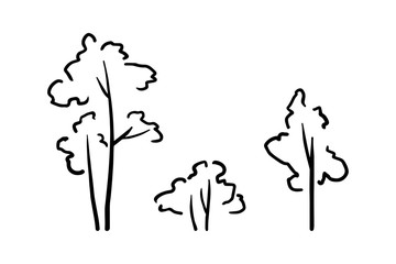 Set of outline trees isolated on wite background. Vector illustration