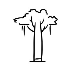 Outline baobab isolated on white background. Vector illustration