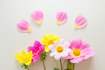 Pink and yellow dahlia flowers on a pastel background. Bright floral concept for the holiday, birthday. Top view, minimalism, copy space.