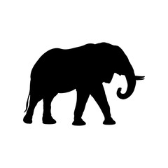 Fauna africana. Silueta de elefante africano en color negro