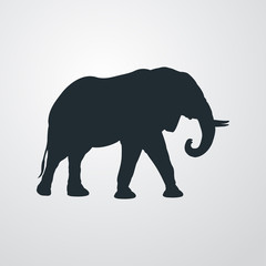Fauna africana. Silueta de elefante africano en fondo gris 