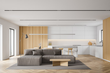 White kitchen and living room interior