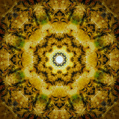 abstract fractal background with flowers