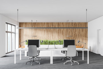 White and wooden open space office interior