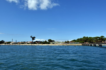 B&eacute;lisaire auf der Halbinsel Cap Ferret