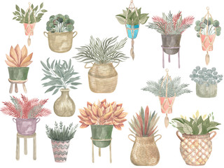 Watercolour illustration of a Boho collection of plants in pots Home decor modern plants in baskets and hanging pots