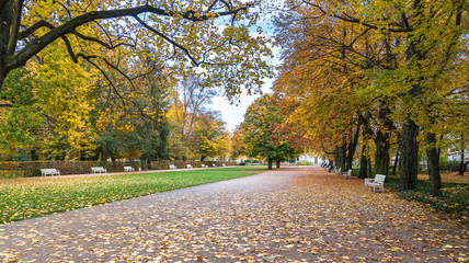 Fototapeta premium Autumn view of the Royal Baths Park in Warsaw