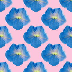 Petunia. Illustration, texture of flowers. Seamless pattern for continuous replication. Floral background, photo collage for textile, cotton fabric. For use in wallpaper, covers.