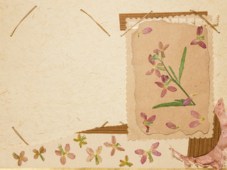 Page from an old photo album. Scrapbooking element decorated with leaves, flowers and petals flowers. For cards, invitations und congratulations. Use in scrapbooking, greetings