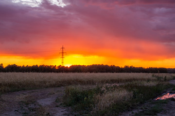 Fototapeta na wymiar Beautiful pink and orange sunset in the field. A fiery, bright sunset