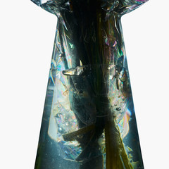 Dead flower in a vase decaying plastic wrap rainbow colors dark background closeup. Glass transparent polarised light