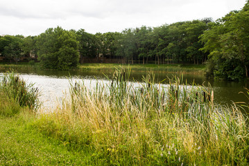 lake in the park