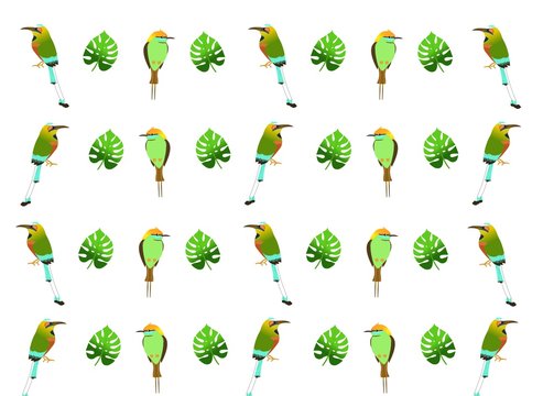 set of green leaves and bird  isolated on white background