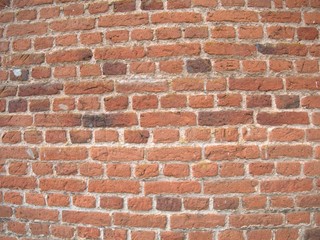 Obraz premium red brick wall
