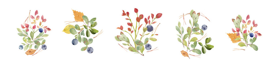 compositions with autumn leaves and berries. Hand painted watercolor blueberry branches and berries, birch and aspen leaves, pine needles.