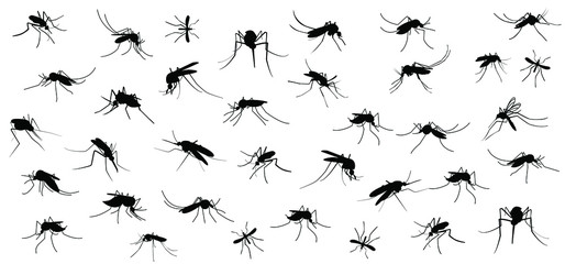Stop malaria mosquito or zika virus alert. World malaria day on April 25. Vector signaling seamless pattern. Insect bite, blood infection ( illness ).