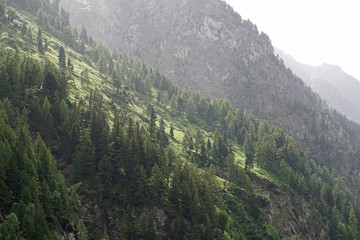 Obraz premium Bergflanke im Sonnenlicht