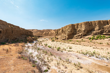 Fototapeta na wymiar Dry river bed, drought, lack of water