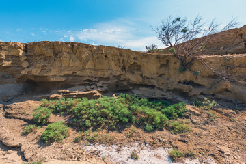 Dry river bed, drought, lack of water