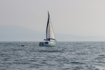 Fototapeta premium Sailing boat with a white sail on the ocean in summer. Blue sky and blue sea