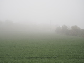 Countryside with fog in the early morning