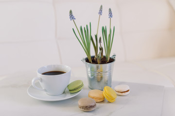 Morning cup of coffee, macaroons and muscari in pot. Spring concept. Still life in modern interior. 