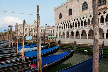 Venezia. Gondole all'ormeggio nel bacino di san Marco © Guido
