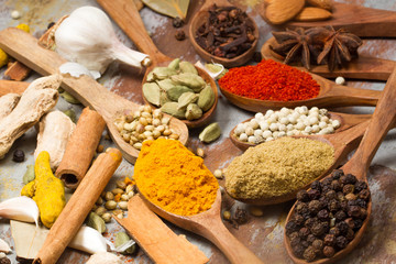 Aromatic spices on wooden spoons. Food ingradients.


