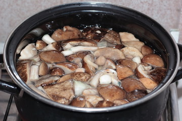 fine porcini mushrooms collected in the Leningrad region