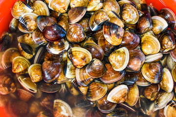 Stacked fresh raw clams in the basket
